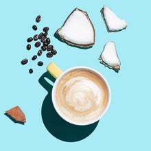 Load image into Gallery viewer, FALSE